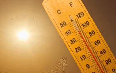 Beat the Heat: Late Summer Plumbing Maintenance Tips for Dallas Homeowners